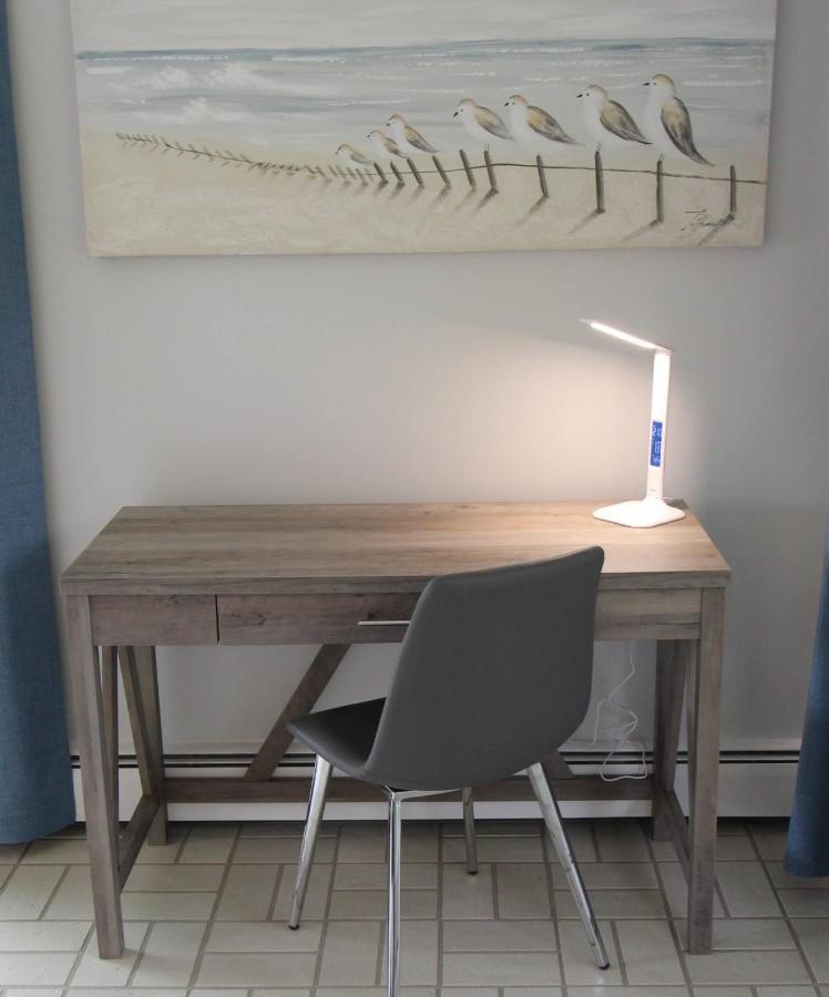 לימינגטון Coastal Suite #1 Cozy Suite #2 - Seacliff Beach Suites מראה חיצוני תמונה
