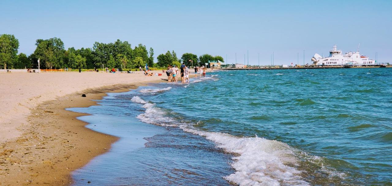 לימינגטון Coastal Suite #1 Cozy Suite #2 - Seacliff Beach Suites מראה חיצוני תמונה
